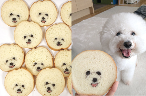 日本職人麵包坊「比熊吐司」爆紅，切開可獲得不同表情包超萌比熊！